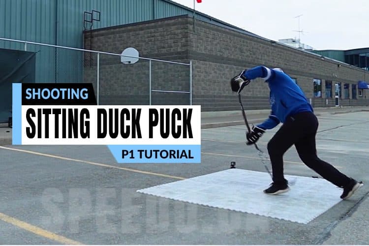 Off-Ice Sitting Duck Puck