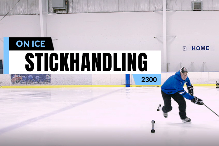 NHL Standings Canada