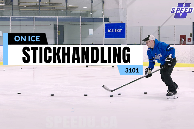 Canadian Hockey fans