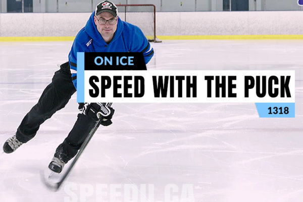 quick puck control