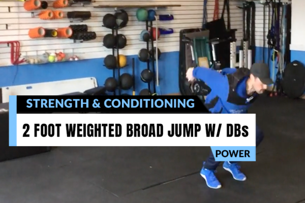 Fitness assessment and analysis