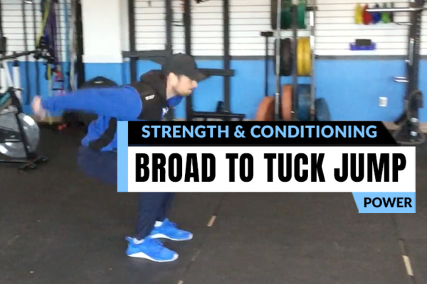 Fitness assessment and analysis