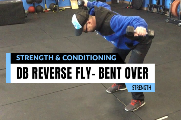 Strength training exercises