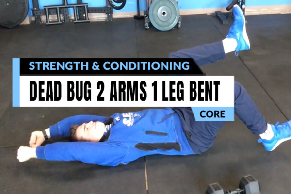 Personalized strength coaching