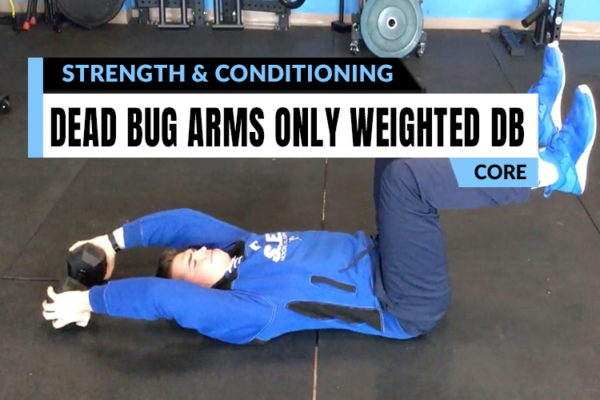 Personalized strength coaching