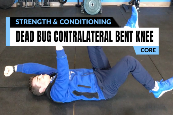 Personalized strength coaching