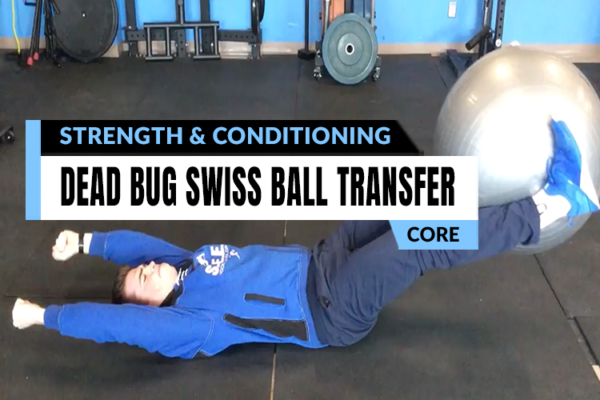 Personalized strength coaching