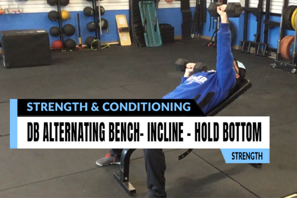 Fitness assessment and analysis