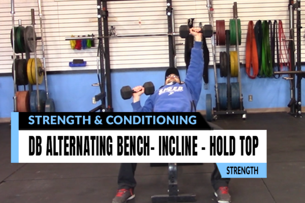 Fitness assessment and analysis