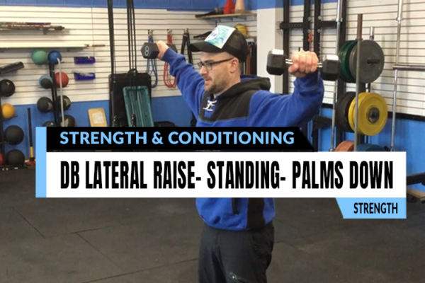 Strength training exercises