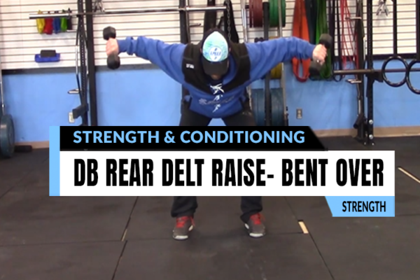 Fitness assessment and analysis