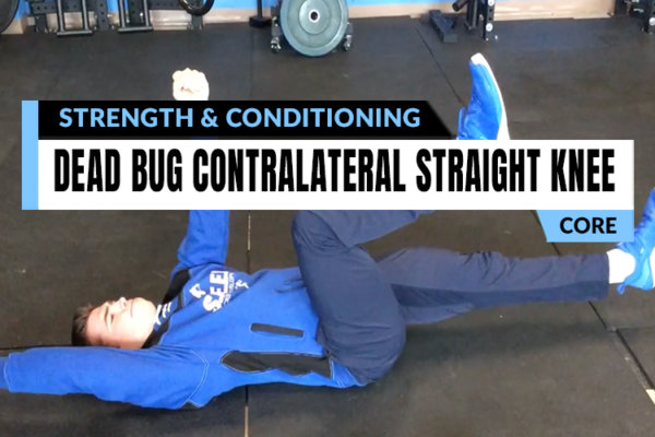 Personalized strength coaching