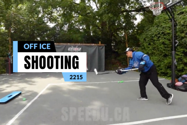 Off ice workouts