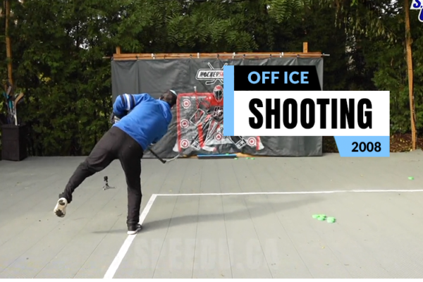 Off ice hockey workouts