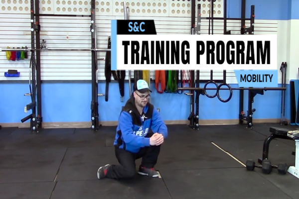 Functional strength training
